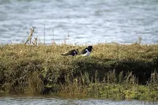 20120326_20.webp