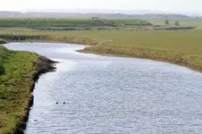 20120326_31.webp 20120326_31.webp