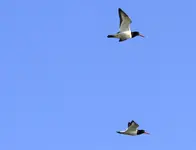 20120326_33.webp 20120326_33.webp