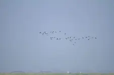 20120326_45.webp 20120326_45.webp