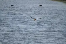 20120326_52.webp