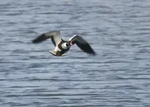 20120326_54.webp