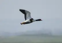 20120326_59.webp 20120326_59.webp