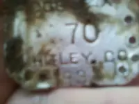 dog tag.webp