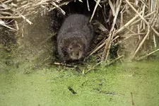 20120413_19.webp