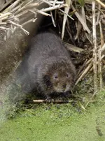 20120413_22.webp