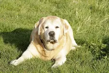 20120412_34.webp