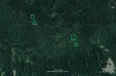 Ridge Rightsidedowsed.webp
