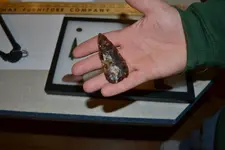 Knife River Knife.webp