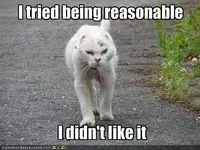funny-pictures-cat-does-not-like-being-reasonable.webp