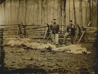 Burying_Dead_-_Rose_Farm_op_800x606.webp Burying_Dead_-_Rose_Farm_op_800x606.webp