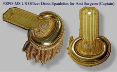Epaulette.webp