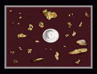 half dollar.gif