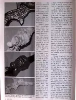 5WEMagazinePage3.webp