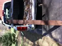 saw.webp