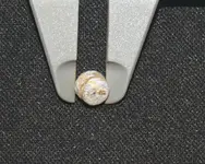 bullet Id 4.webp