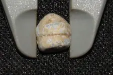 bullet ID 5.webp
