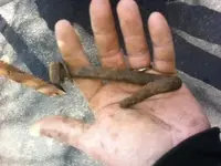 curved hook.webp