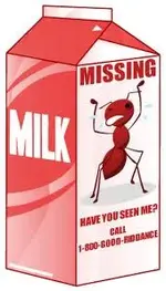 MILK CARTON.webp