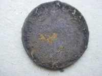 copper back_1.webp