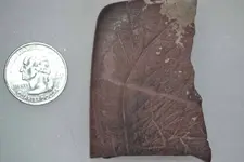 Tablet backside.webp