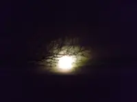 DSCF0309.webp