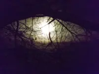 DSCF0305.webp