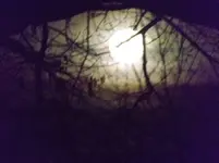 DSCF0304.webp