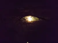 DSCF0303.webp