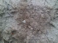 IMG01534-20120419-1822.webp