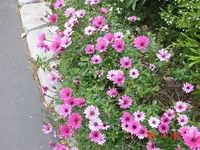 DSC08170.webp
