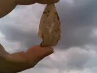 IMG01416-20120324-1550.webp