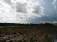 land.webp