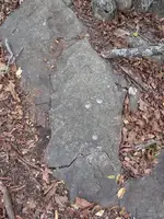 sized drill holes notch.webp