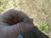 silverring_2.webp