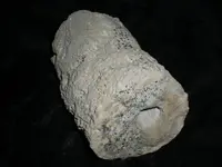 DSCN7518.webp