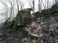 sized eagle rock.webp