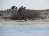 010.webp