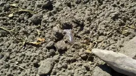 2012-03-31_13-45-16_783 (1024x577).webp
