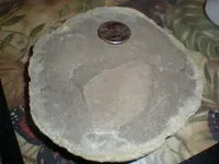 DSCN7442.webp