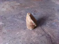 civil war bullet 1.webp