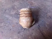 civil war bullet 2.webp