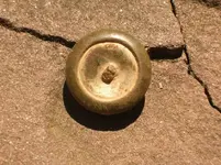 Eagle Button Back-s.webp