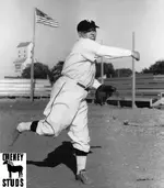 Grain Elevator Baseball Photo.webp