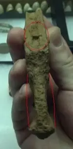 What Is It Pistol with red lines and nub at bottom - enlarged.webp