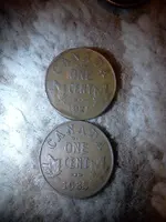 IMG010.webp IMG010.webp