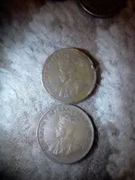 IMG011.webp IMG011.webp