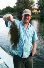tilapia.webp