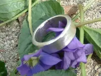 DSCF1538.webp