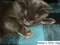 DSCF1542.webp